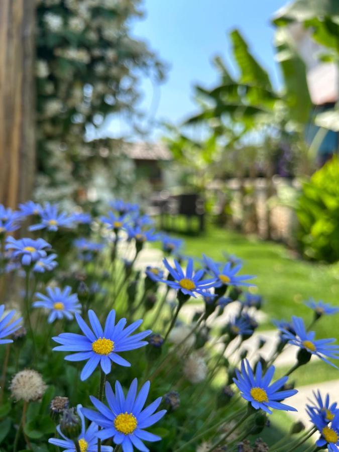Pupa Alaçatı Butik Otel Çeşme Exterior foto